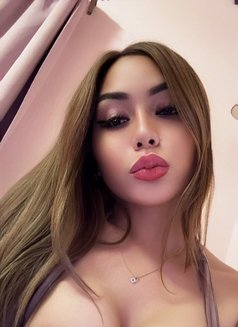 VIP TOP LADYBOY CAMSHOW / MEETINGS - Transsexual escort in Bangkok Photo 13 of 22