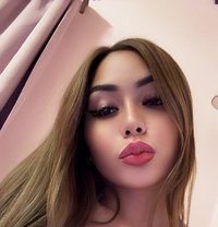 VIP TOP LADYBOY CAMSHOW / MEETINGS - Transsexual escort in Bangkok Photo 12 of 23