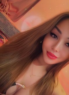 VIP TOP LADYBOY CAMSHOW / MEETINGS - Acompañantes transexual in Bangkok Photo 24 of 28