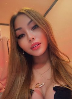 VIP TOP LADYBOY CAMSHOW / MEETINGS - Acompañantes transexual in Bangkok Photo 25 of 28
