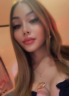 VIP TOP LADYBOY CAMSHOW / MEETINGS - Acompañantes transexual in Bangkok Photo 26 of 28