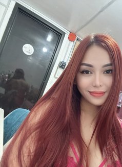 VIP TOP LADYBOY CAMSHOW / MEETINGS - Transsexual escort in Bangkok Photo 14 of 17