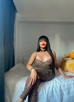 MISTRESS FOR PARTY &PLAY/ Camshowxvids - Transsexual escort in Bangkok Photo 25 of 30