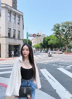 Vip Ts Vanessa - Transsexual escort in Taipei Photo 11 of 15