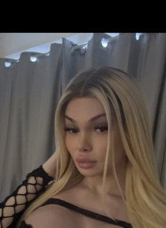VIP Valentina BIG ASS - Acompañantes transexual in London Photo 11 of 12