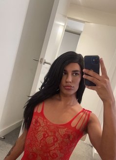 Vipjordynraex - Transsexual escort in Dubai Photo 1 of 5