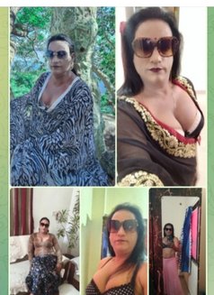 Visitor Ayesha - Acompañantes transexual in Pune Photo 3 of 3