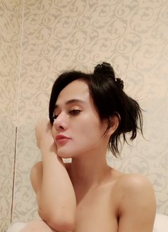 Vita - Acompañantes transexual in Jakarta Photo 12 of 13