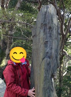 Viv M - Male adult performer in Kathmandu Photo 1 of 1