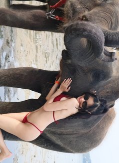 vivi - escort in Manila Photo 13 of 13