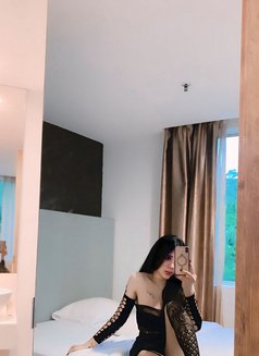TS Vivi Tan - Transsexual escort in Johor Bahru Photo 15 of 30