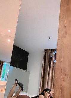 TS Vivi Tan - Transsexual escort in Johor Bahru Photo 16 of 30