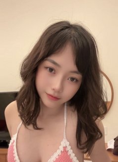 Vivi - escort in Hanoi Photo 1 of 5