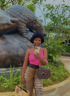 Vivian - escort in Phuket Photo 1 of 1