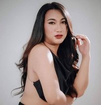Vivid Vixen - Acompañantes transexual in Boracay