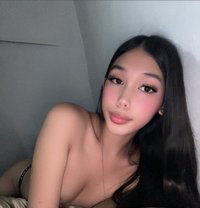 Vivienne - Transsexual escort in Cebu City