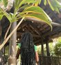 Vivy - escort in Malindi Photo 1 of 2