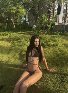 Vixen - Transsexual escort in Cebu City Photo 5 of 6