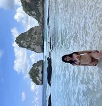 Vixen Sei - Transsexual escort in Singapore