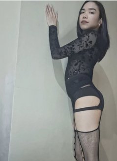 Vixy Dominatrix — Earn Me or Exit - Transsexual dominatrix in Dubai Photo 1 of 6