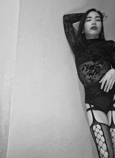 Vixy Dominatrix — Earn Me or Exit - Transsexual dominatrix in Dubai Photo 3 of 6