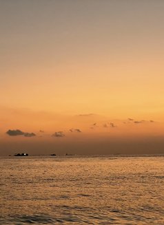 Vlorent9987 - Acompañantes masculino in Maldives Photo 2 of 2