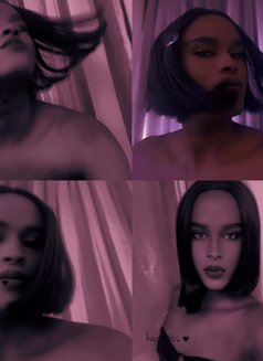 Vudu Dohl[discreet 🤐]slut me out - Transsexual escort in Nairobi Photo 11 of 11