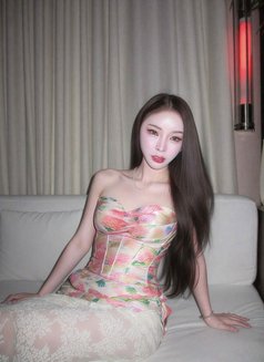 Vvip Akasaka area - escort in Tokyo Photo 9 of 9