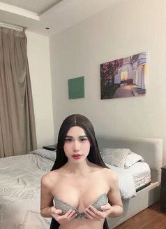 VVIP Classy. Amyy Queen. - Acompañantes transexual in Khobar Photo 10 of 10