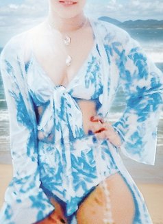 VVIP Elite Private Companion — Colombo - escort in Colombo Photo 13 of 24