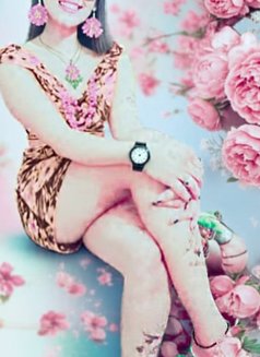 VVIP Elite Private Companion — Colombo - escort in Colombo Photo 15 of 24