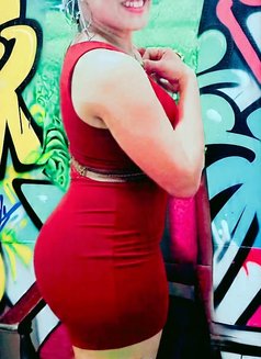 VVIP Elite Private Companion — Colombo - escort in Colombo Photo 22 of 24