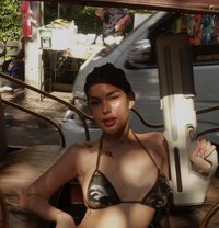 VVIP/GFE BOMBSHELL YSABEL - escort in Bangkok