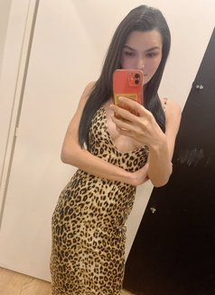 vvip Ladyboy Thailand - Agencia de acompañantes transexuales in İstanbul Photo 4 of 14