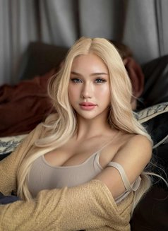 Vvip Jeffy Upper and lower sex - Acompañantes transexual in Khobar Photo 16 of 16