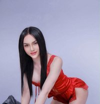 vvip Ladyboy Thailand - Agencia de acompañantes transexuales in İstanbul