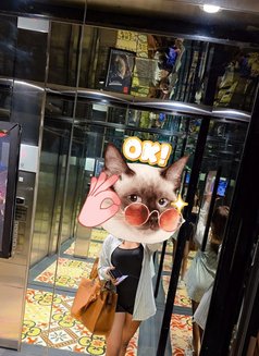 VVIP Escort - escort in Kolkata Photo 3 of 6