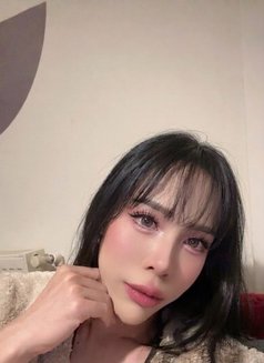 Vvip Massage & Mistres Slave Both - Acompañantes transexual in İstanbul Photo 16 of 16
