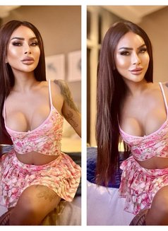 VVIP Miss Grey poppers 7” cum feeder - Transsexual dominatrix in Dubai Photo 29 of 29