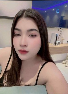 VVIP New Lady in Khobar - escort in Khobar Photo 1 of 4