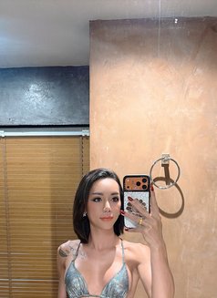 Vvip Pollylove - Transsexual escort in Bangkok Photo 8 of 8