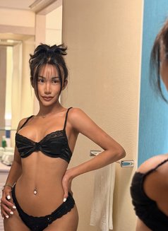 VVIP - Transsexual escort in Bangkok Photo 28 of 30