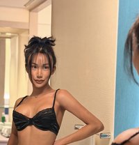 VVIP - Acompañantes transexual in Bangkok