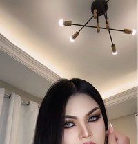 VVIP Thai ladyboy - Transsexual escort in Khobar Photo 1 of 24