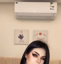 Ladyboy Both Thailand - Transsexual escort in Dammam