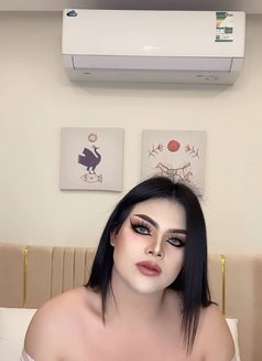 VVIP Thai ladyboy - Acompañantes transexual in Khobar Photo 3 of 24