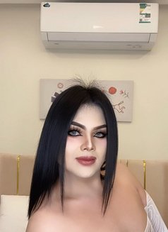 VVIP Thai ladyboy - Acompañantes transexual in Khobar Photo 10 of 24