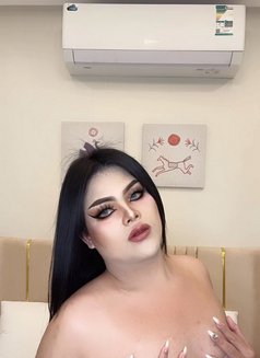VVIP Thai ladyboy - Acompañantes transexual in Khobar Photo 14 of 24
