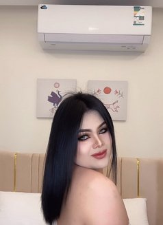 VVIP Thai ladyboy - Acompañantes transexual in Khobar Photo 19 of 24