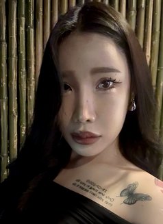 VVIP Thai mixTaiwan - companion in Jeddah Photo 2 of 12